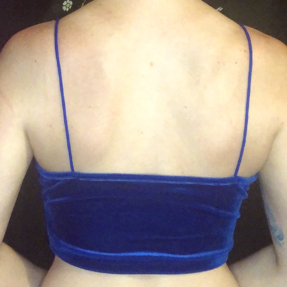 Blue Velvet Crop Top - Picture 3 of 3